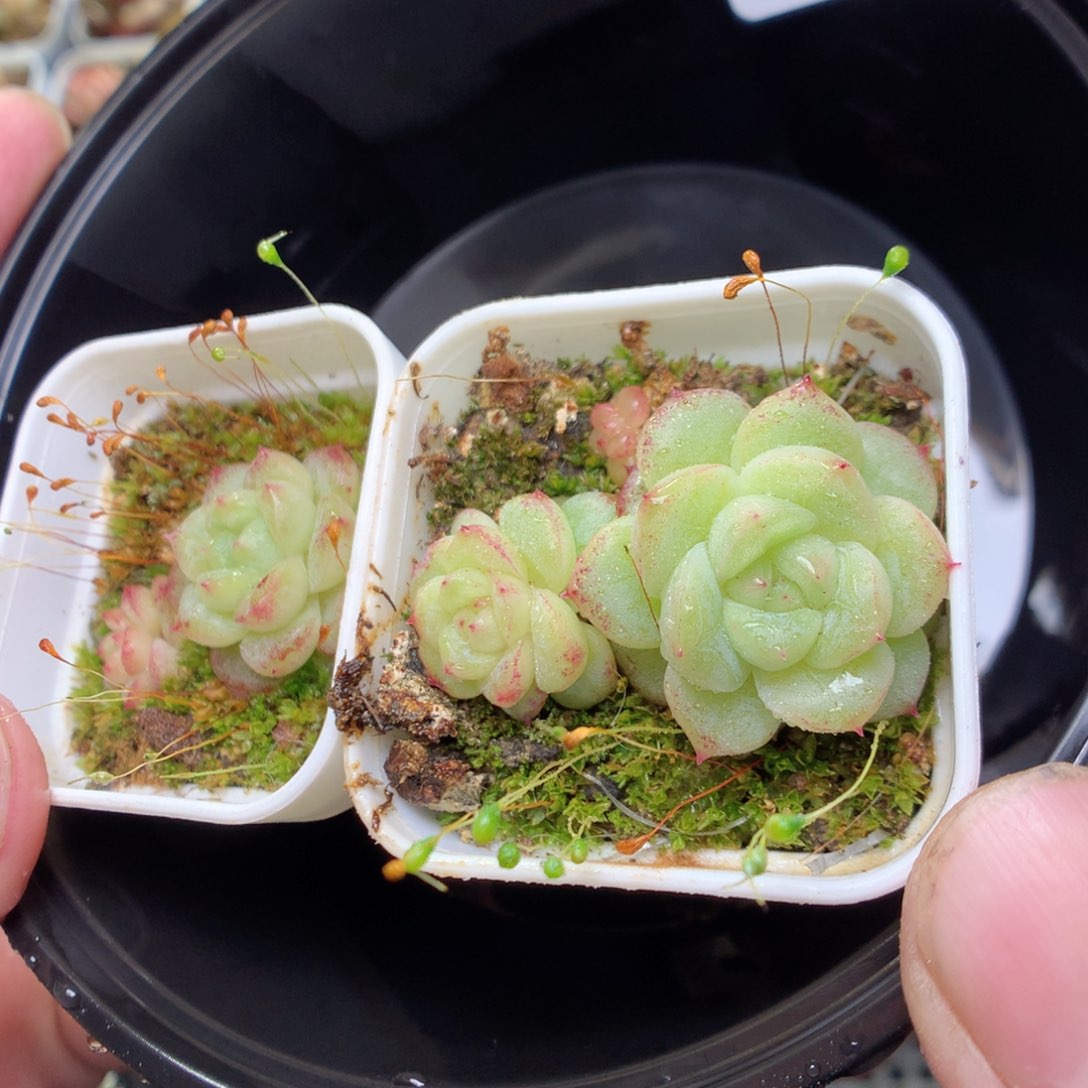 V74y y y y y y y y y