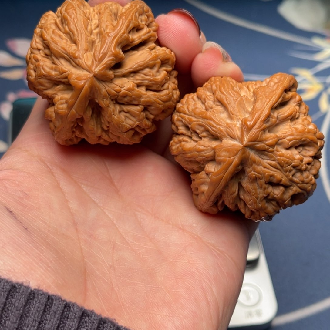 文玩核桃把件粗筋46