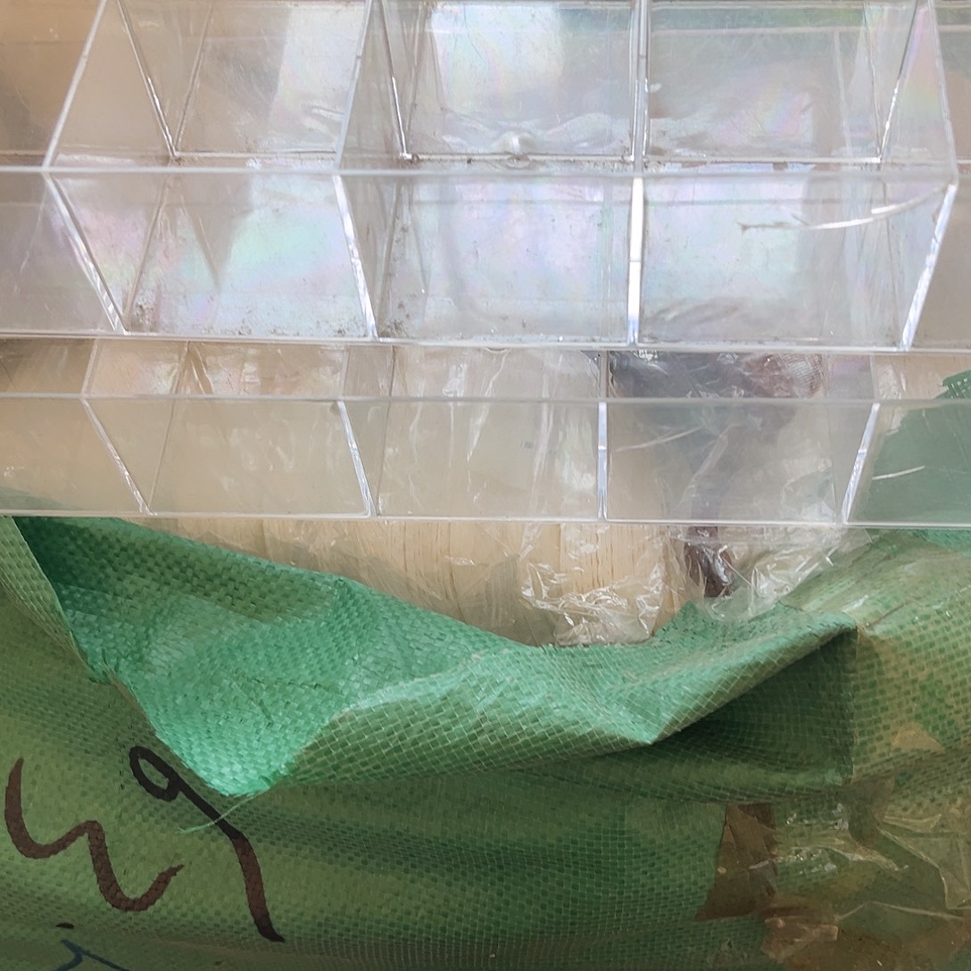 小***心包装袋ffgghhhhhhhhnbh