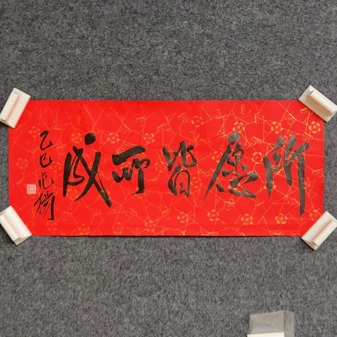 国画（w5626）所愿皆所成 书画3