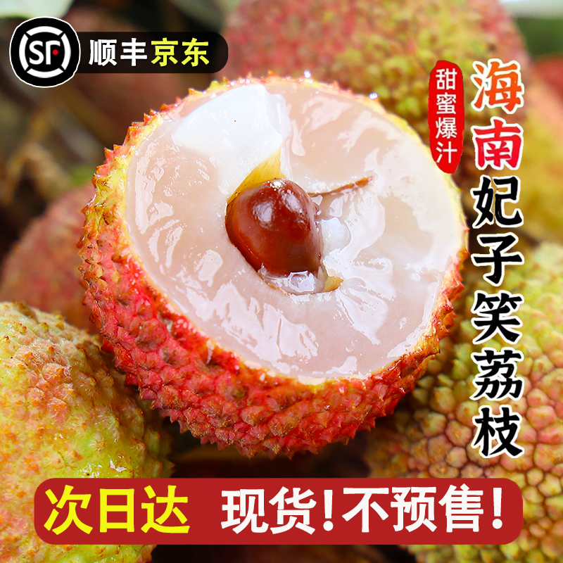 现货【今天拍明日达】LYX海南直采老树荔枝新鲜水果妃子笑半斤-4斤装荔枝同城送