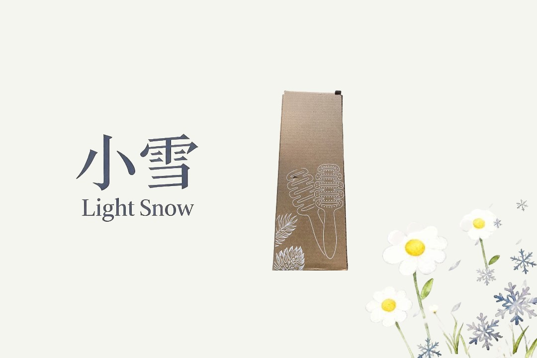 梳子图案包装盒收纳盒/听直播介绍/zxz