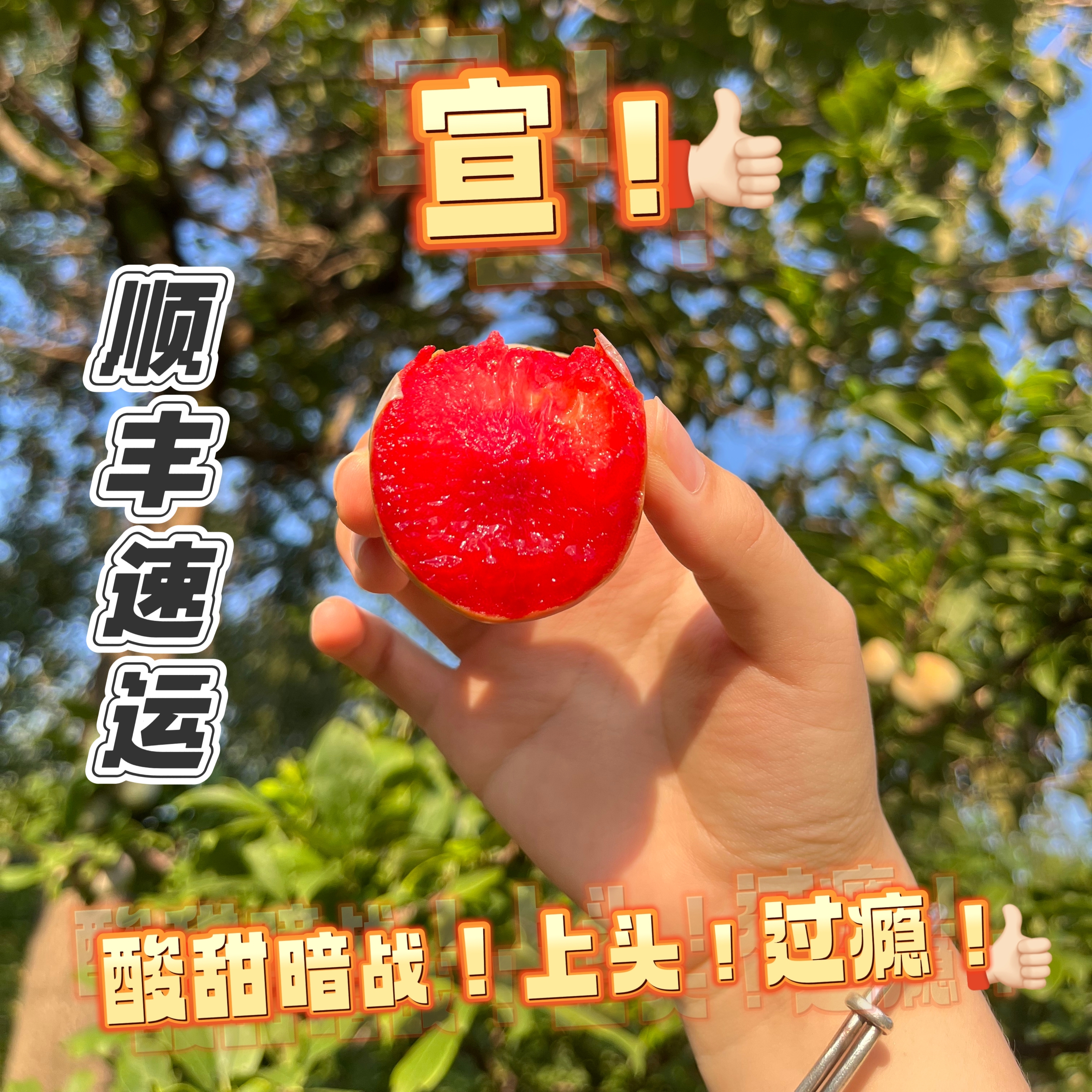 【顺丰】恐龙蛋酸甜口新鲜采摘多汁青皮红心李子（不沾一点酸慎拍！）