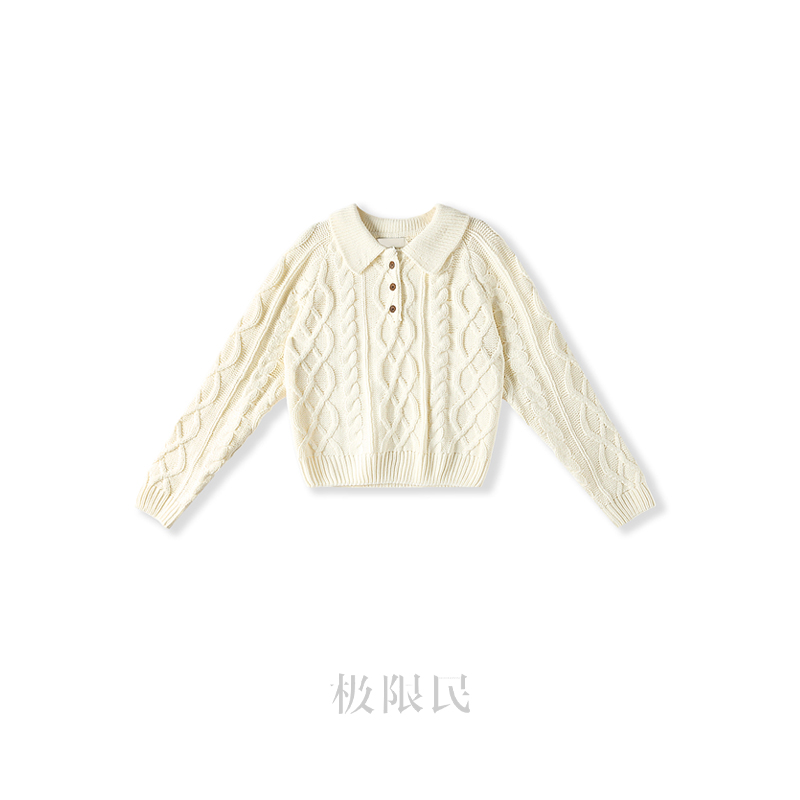 极限民《长留》秋冬复古麻花翻领厚款保暖毛衫F5414N1205