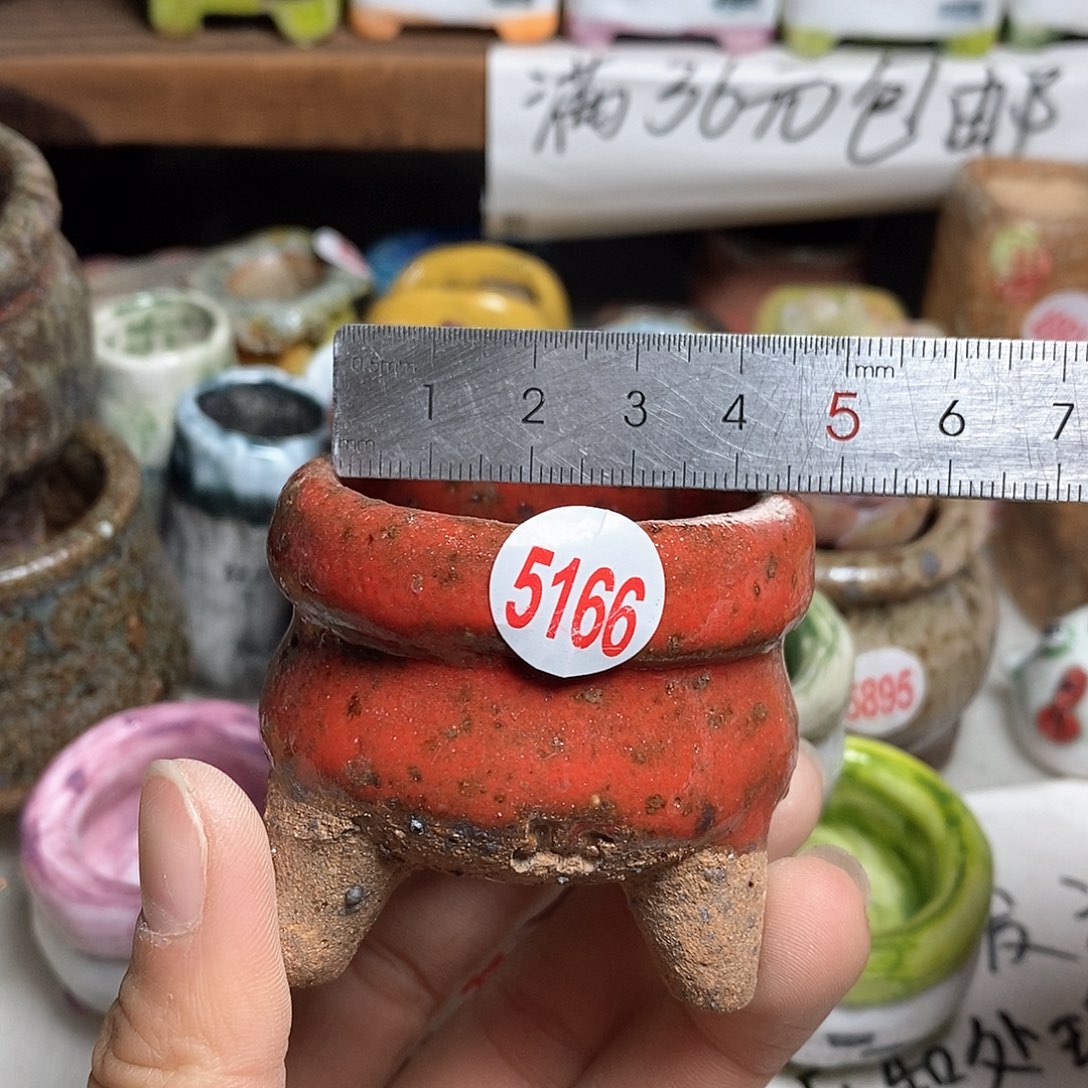 红陶拍5送一个小