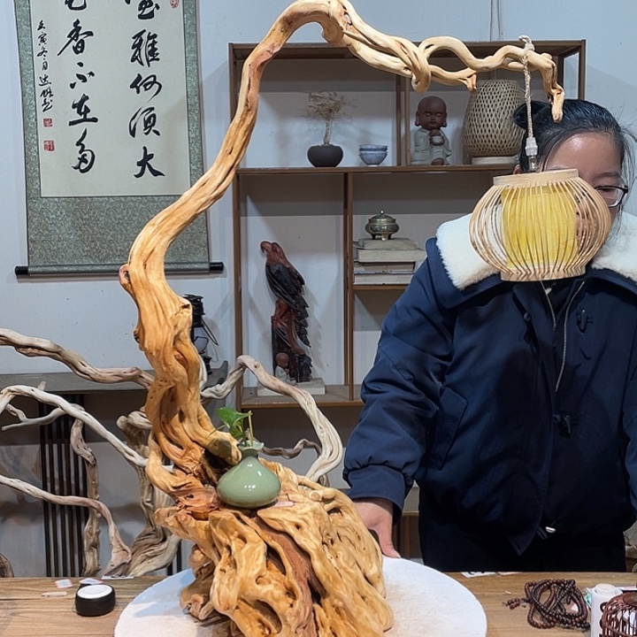 去***️木杜鹃根根艺摆件