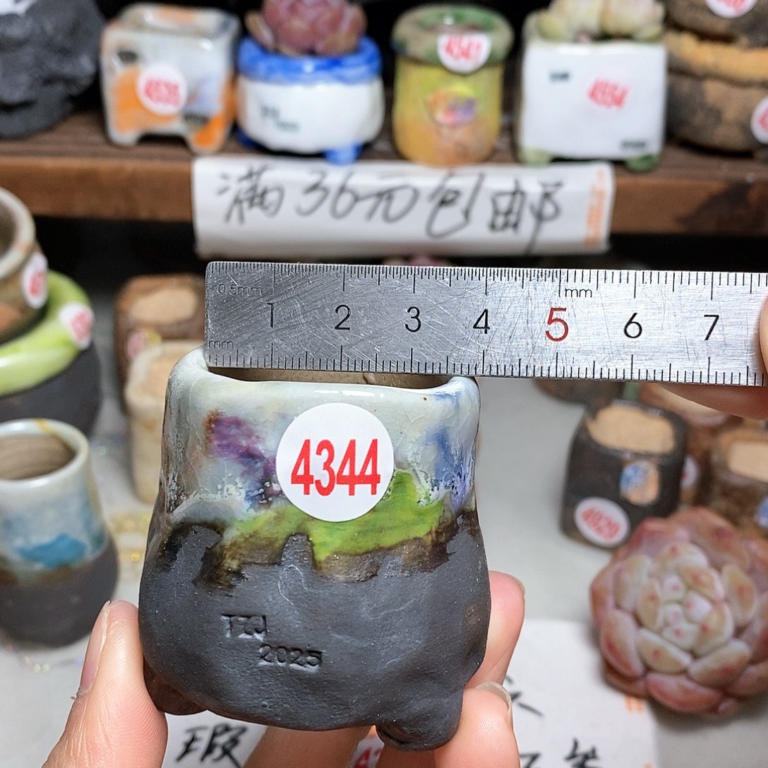 红陶拍5送一个小