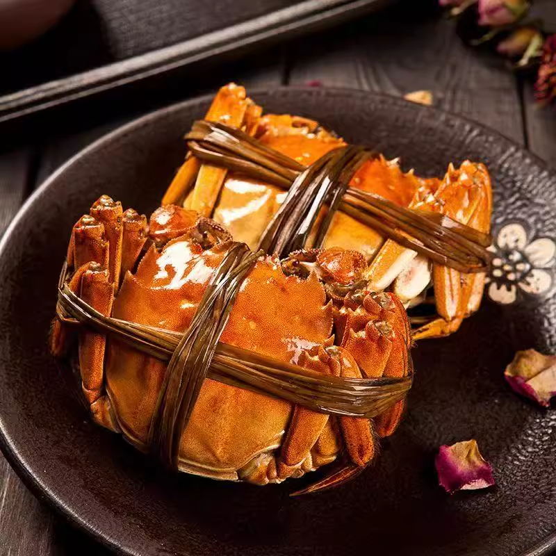 【活蟹现发】活蟹苏州精品大闸蟹公蟹6两 母蟹5两 8只+2只 十只JN