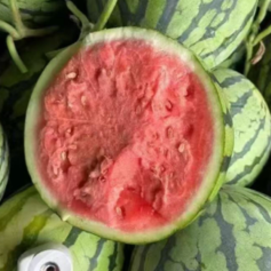 【茶朋精选】麒麟西瓜半个5.5-6.5斤云南省