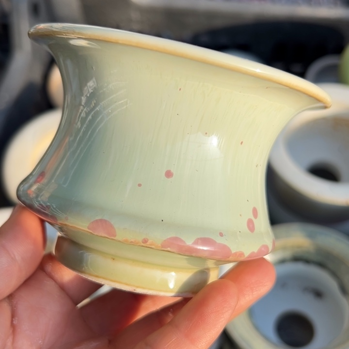 特价花盆 满50发货 内口6