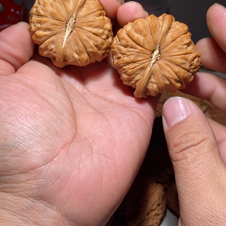 鸿**头文玩核桃南瓜墩核桃