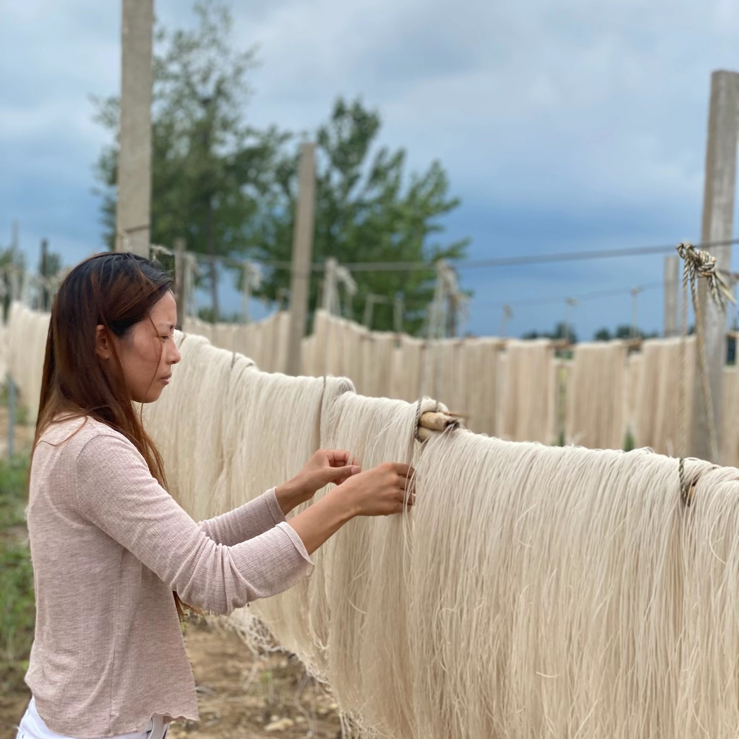 吴集纯手工红薯粉条 农家纯手工红薯粉丝，支持试吃