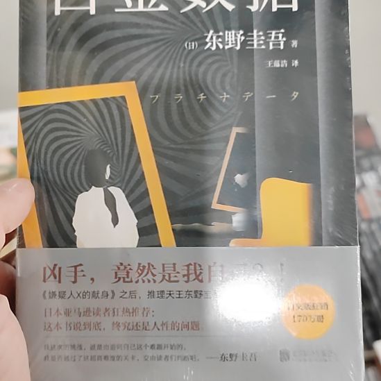 东野圭吾白金数据