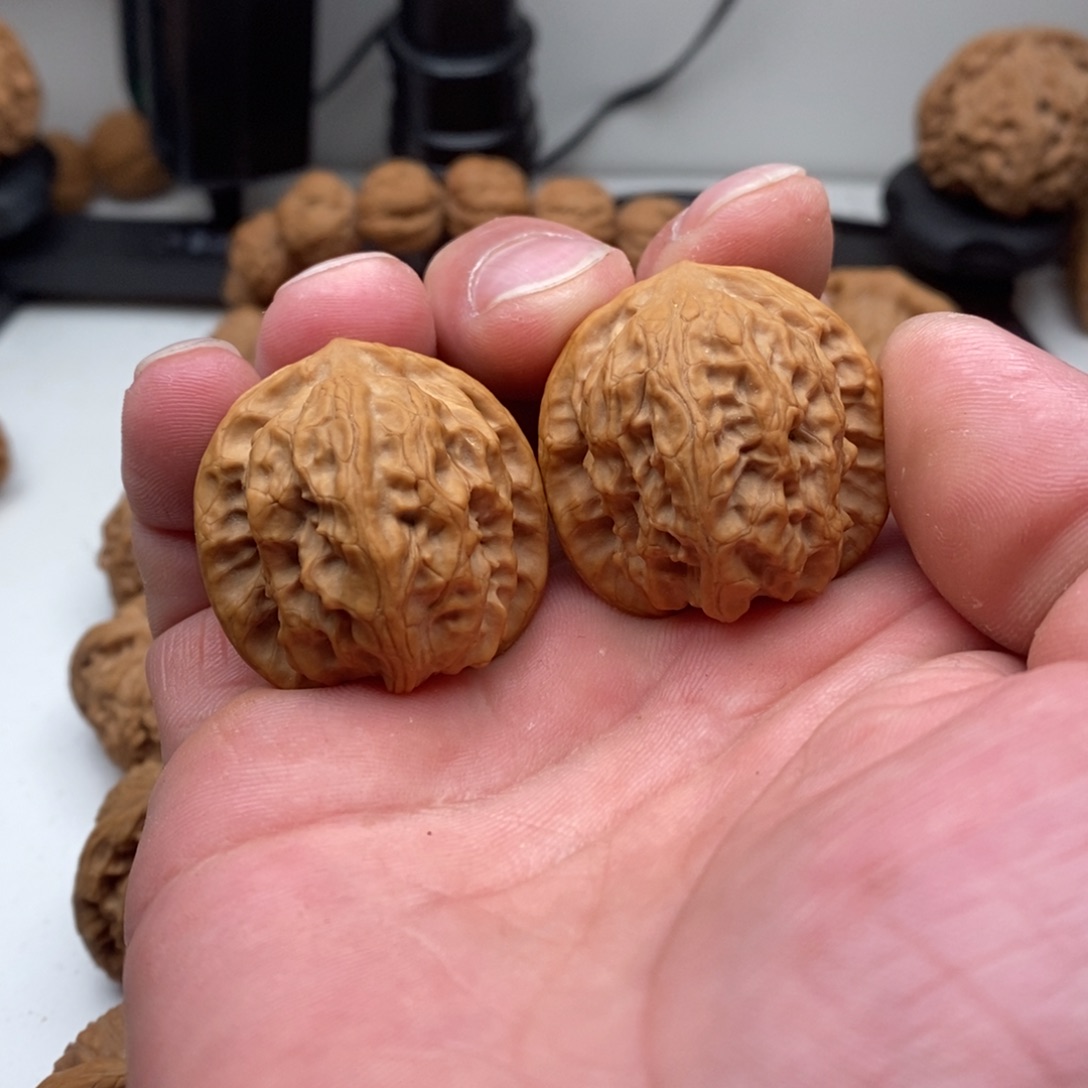 文玩核桃吊坠野狼35