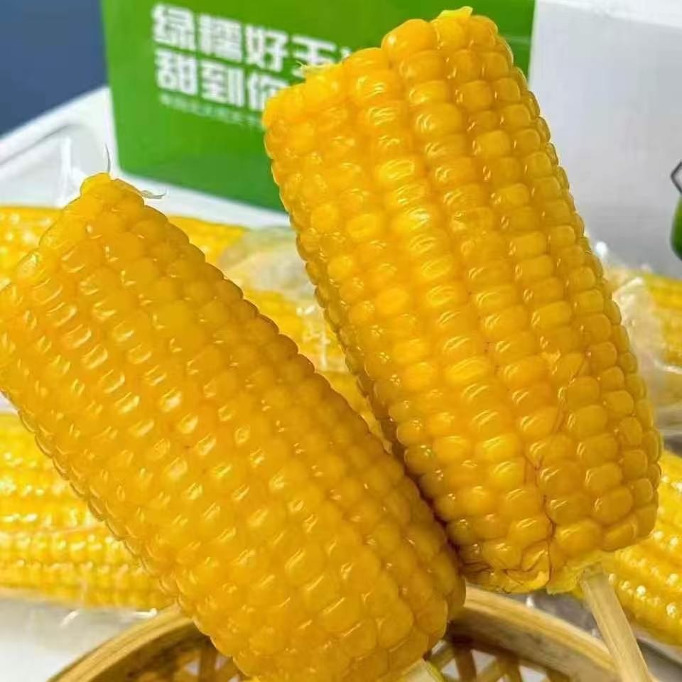 黑土地黄玉米非转基因0农残好玉米越吃越馋香甜软糯颗颗饱满