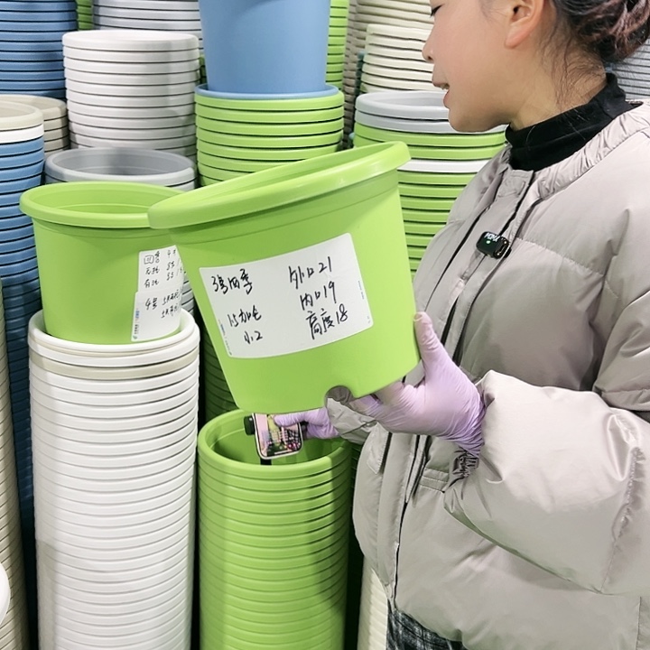 特价3号口21高18果绿色10只无托