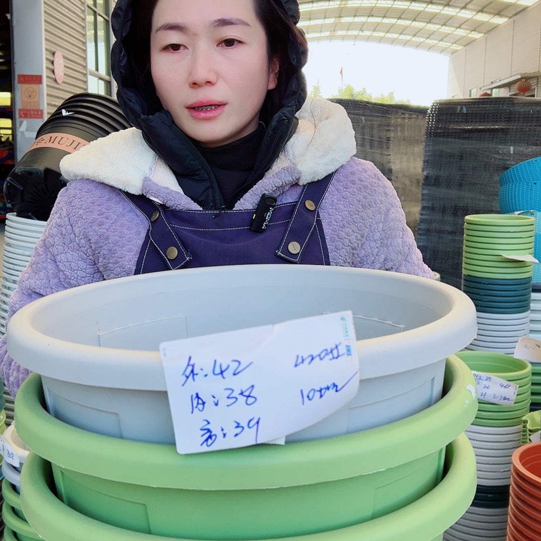 玫瑰盆420#果绿2灰白2无托