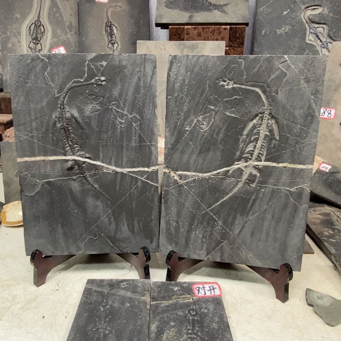 石材ᕙ****?大自然的秘密就是这样神奇