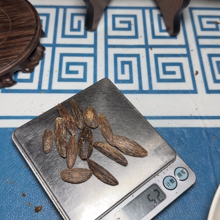 线香海南沉香瓜子料5.2克