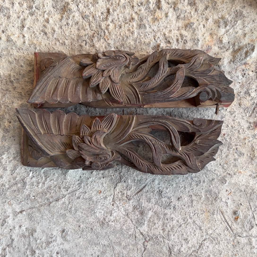 香榧木哈哈哈哈哈哈