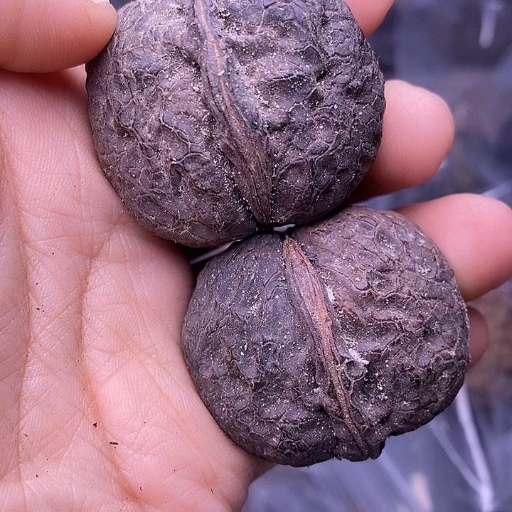 文玩核桃把件  158