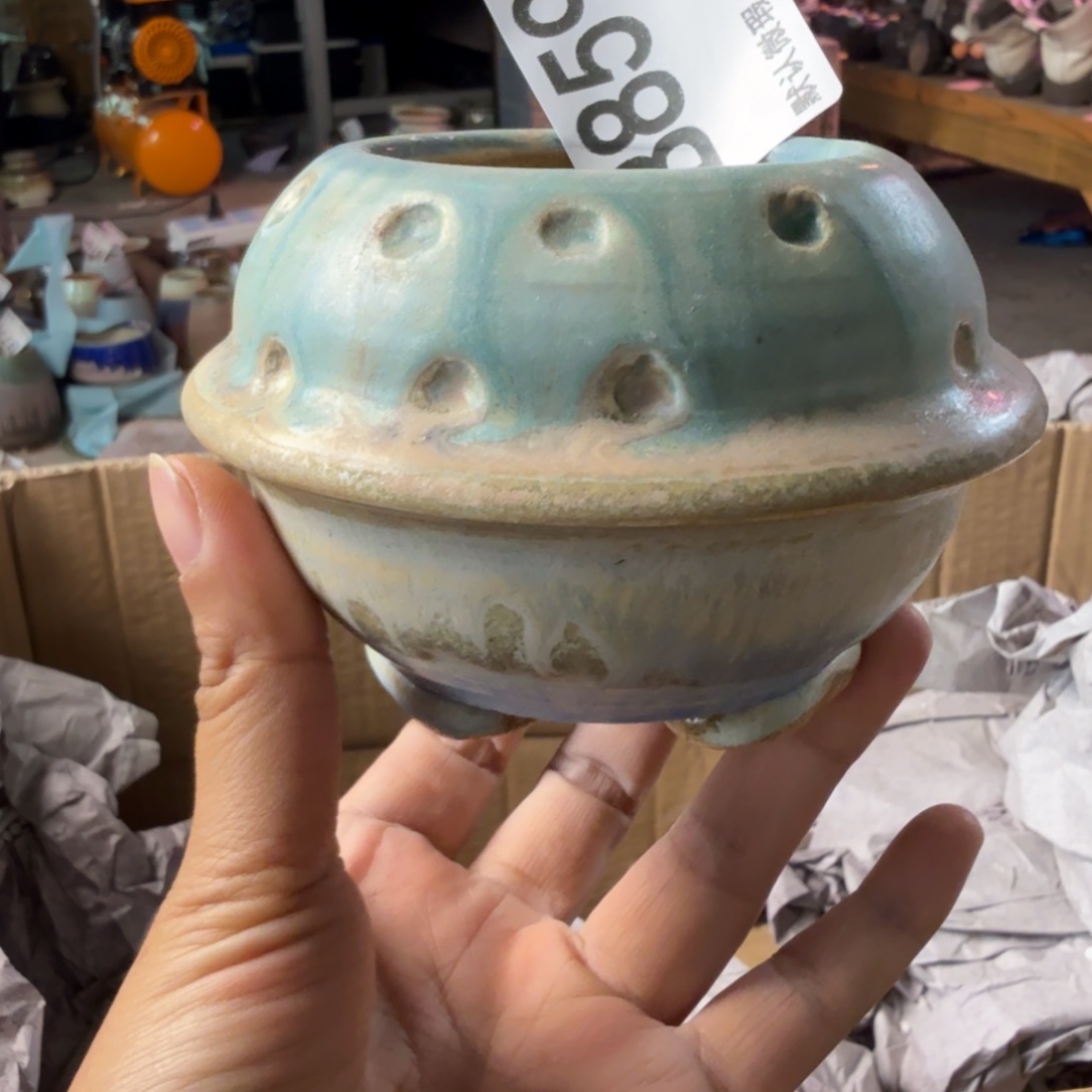 重庆小燕子欢迎大家859