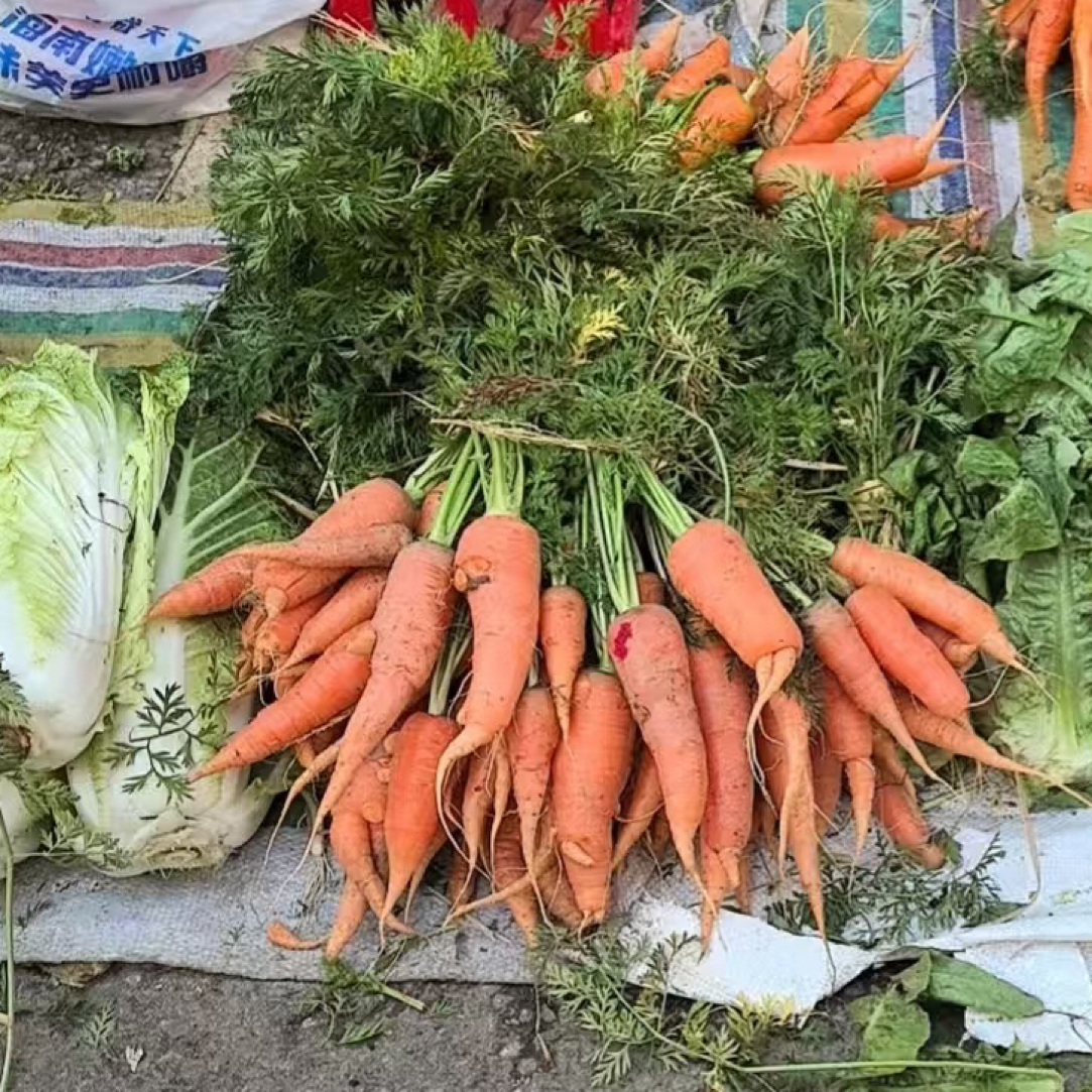 本地新鲜胡萝卜500g