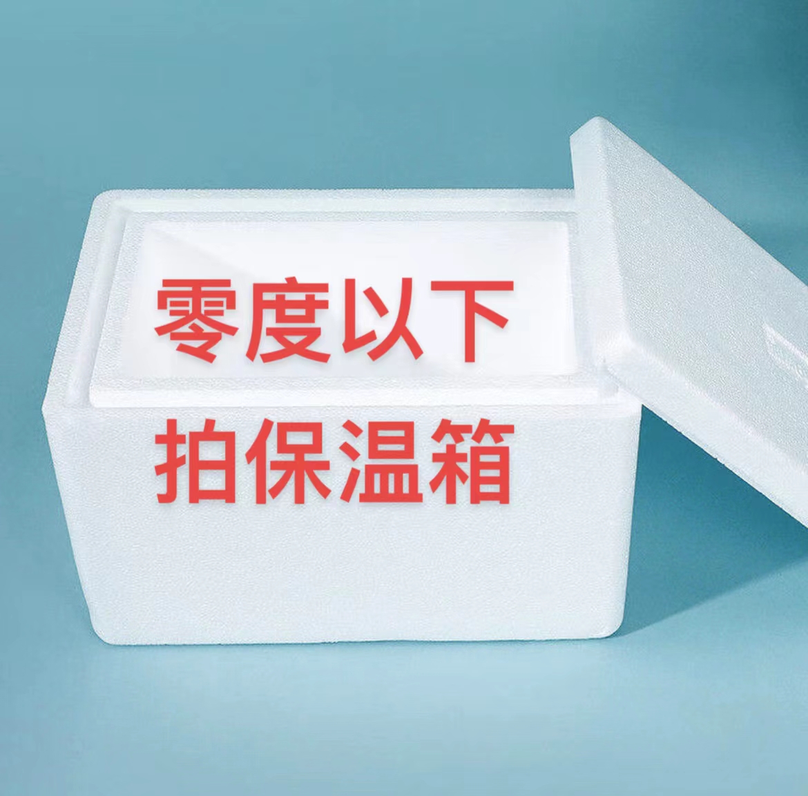 保温箱零度以下必拍多肉