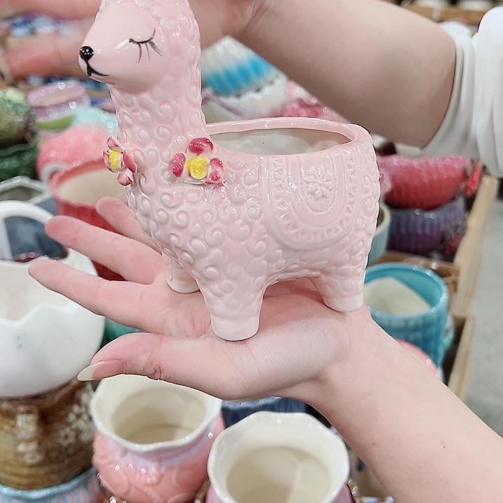 有孔，凑单福利满10元发货陶瓷多肉花盆！