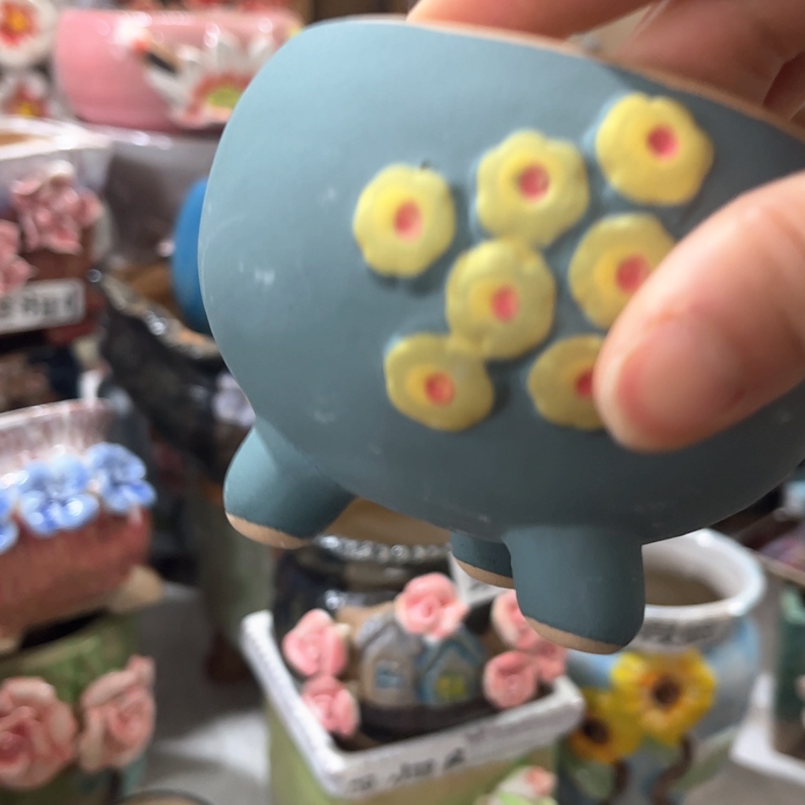 【闪购商品】红陶福利
