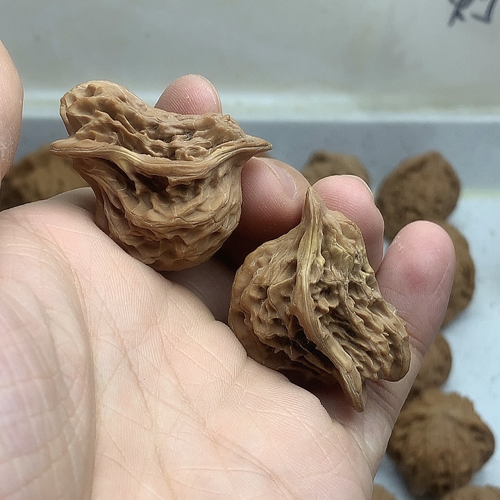 吊坠文玩核桃38 小鸟