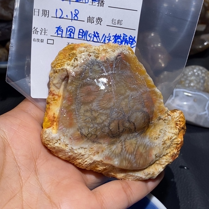 【闪购商品】未镶嵌珊瑚玉硅化玉我****看