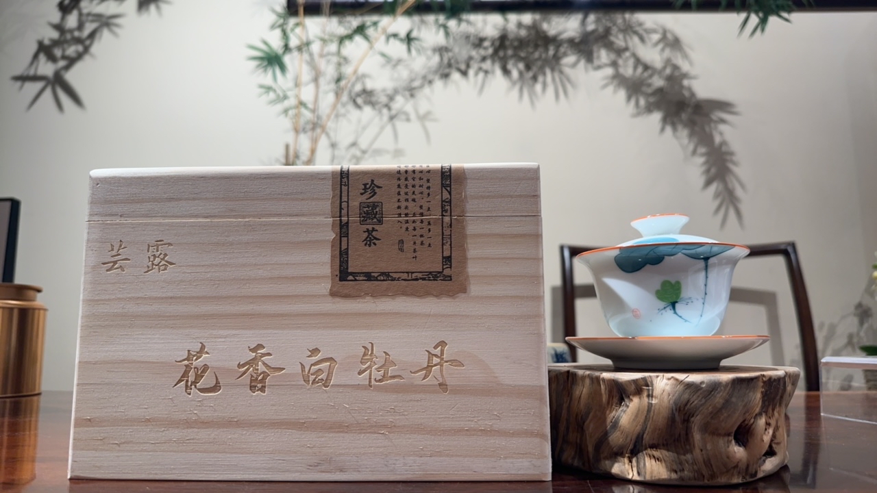 2024年政和白茶花香白牡丹