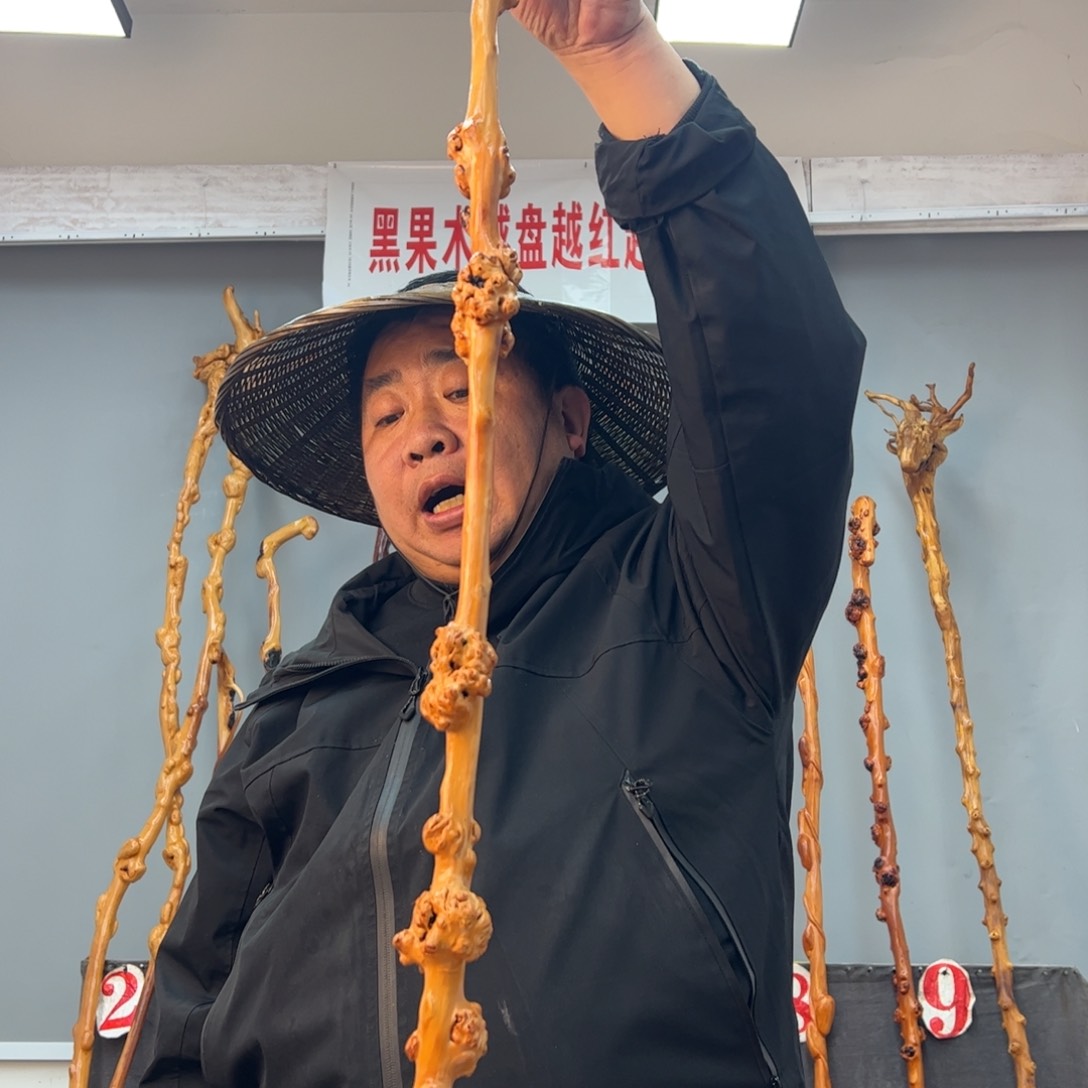 黑果木其他孤**客黑果木253