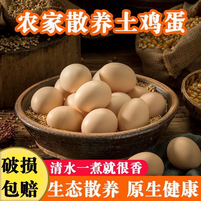 【真正农户】优质生态散养跑山鸡溜达鸡粉壳土鸡蛋现捡现发福利价