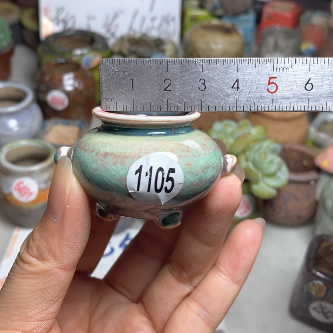 拍5送一个小礼物