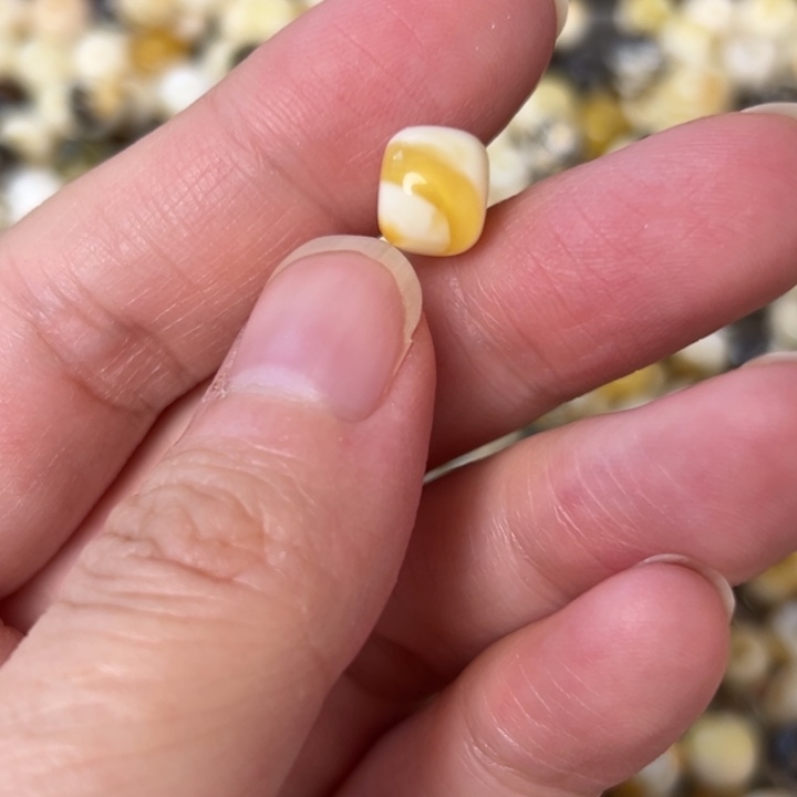 蜜蜡未镶嵌裸石8.9mm一个