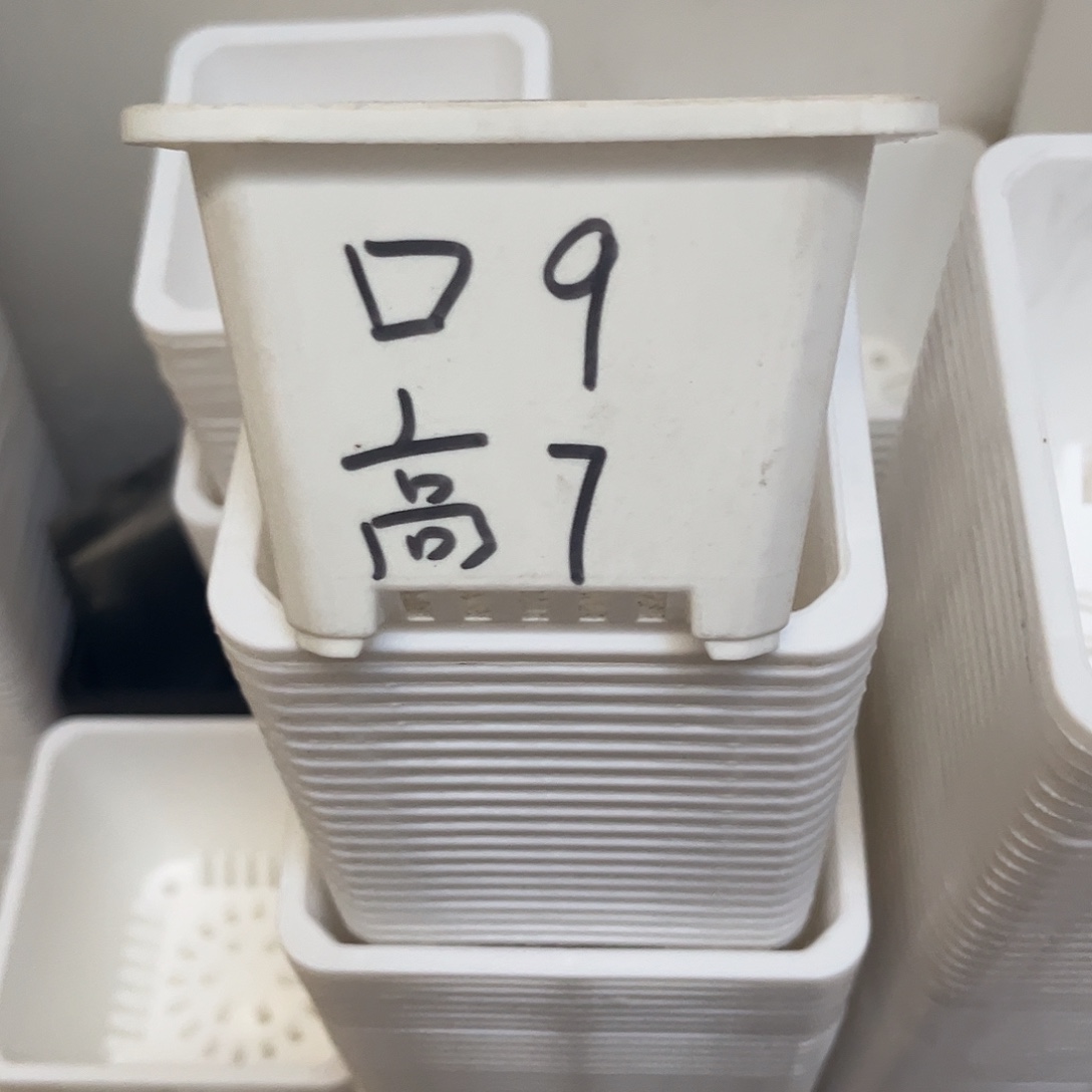 中厚口9高7白盆30个无托