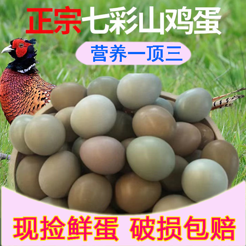 60枚正宗七彩山鸡蛋野山鸡蛋新鲜直达破损包赔农户直发礼盒装