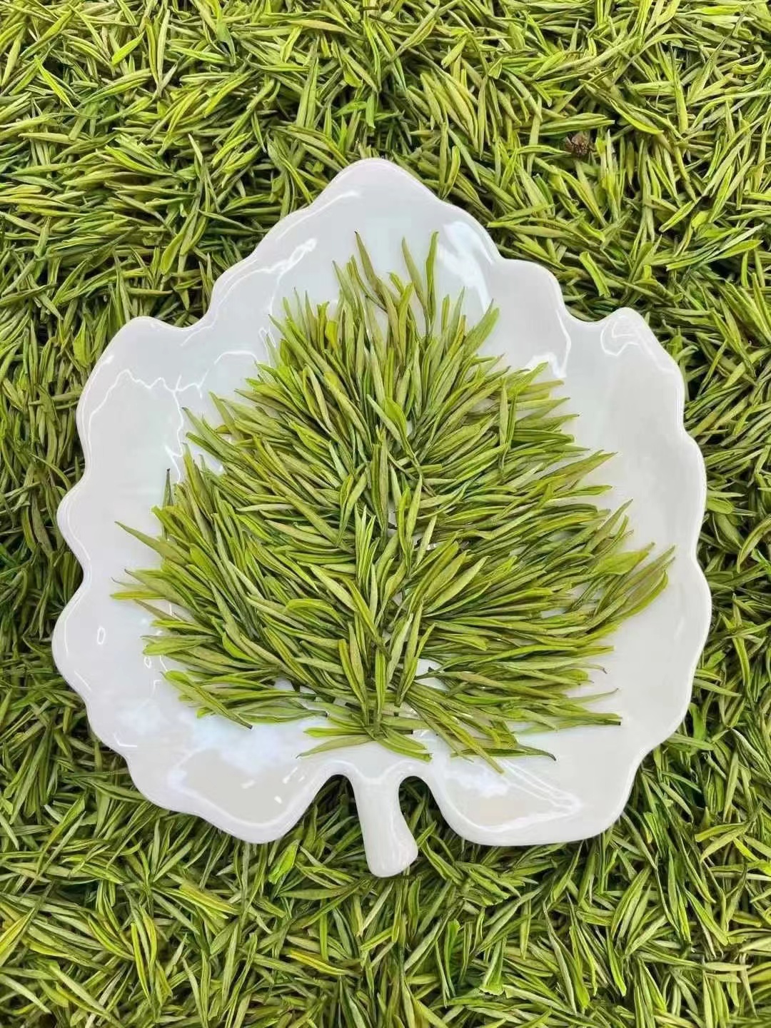 2025年绿茶新白露金香玉凤型工艺