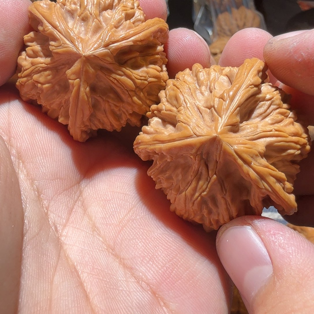 文玩核桃把件御龙正奔