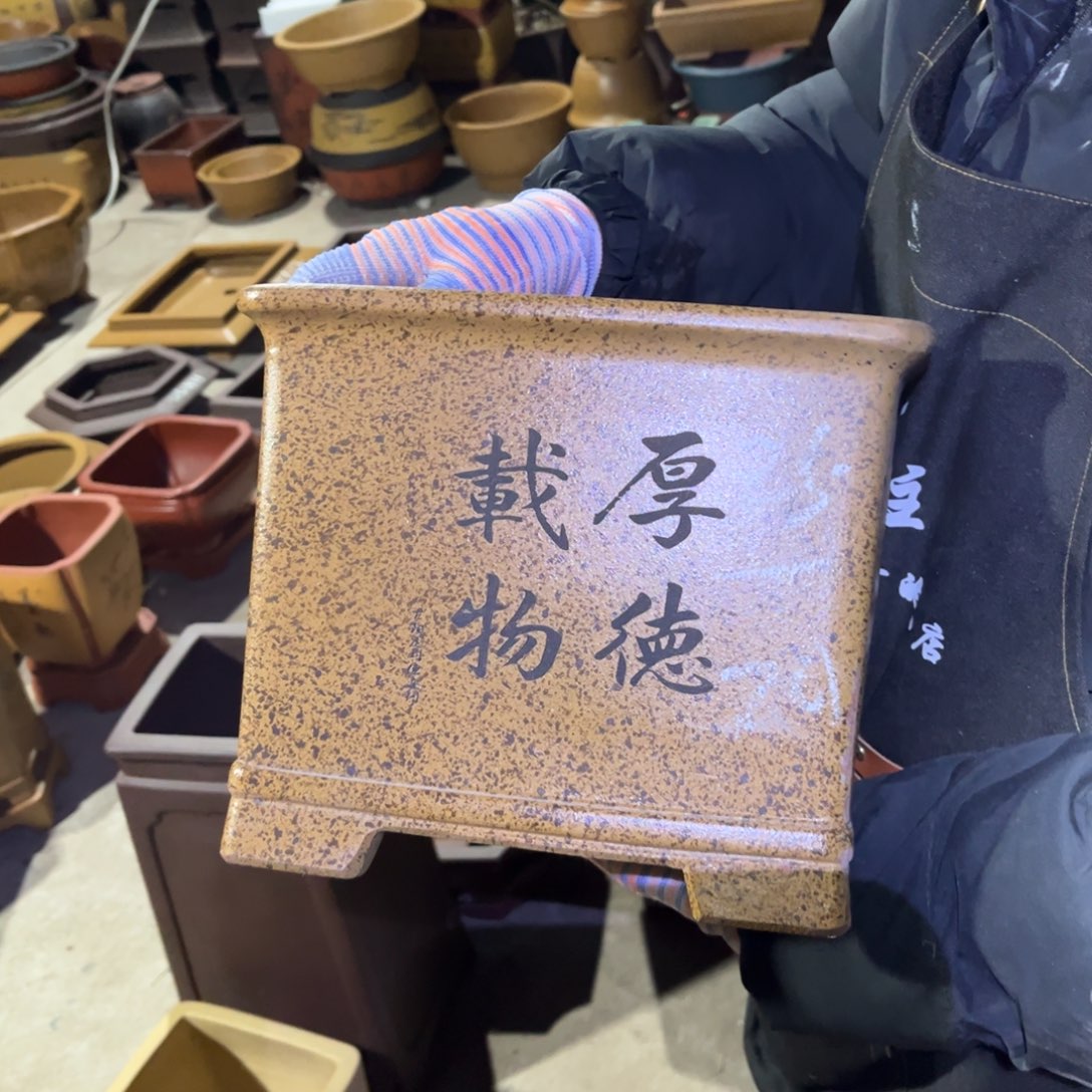 紫砂花盆盆景艺术