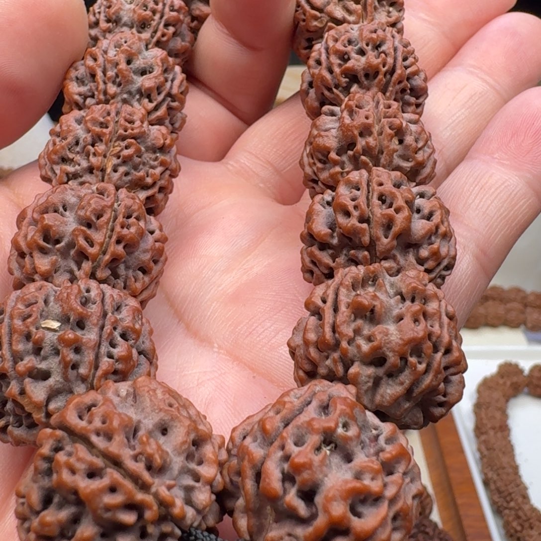 手串金刚菩提蜂窝双龙