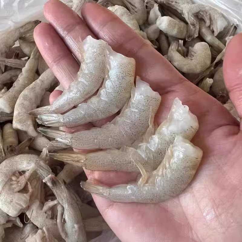连云港产地直发野生羊毛虾尾小白虾三斤顺丰发货