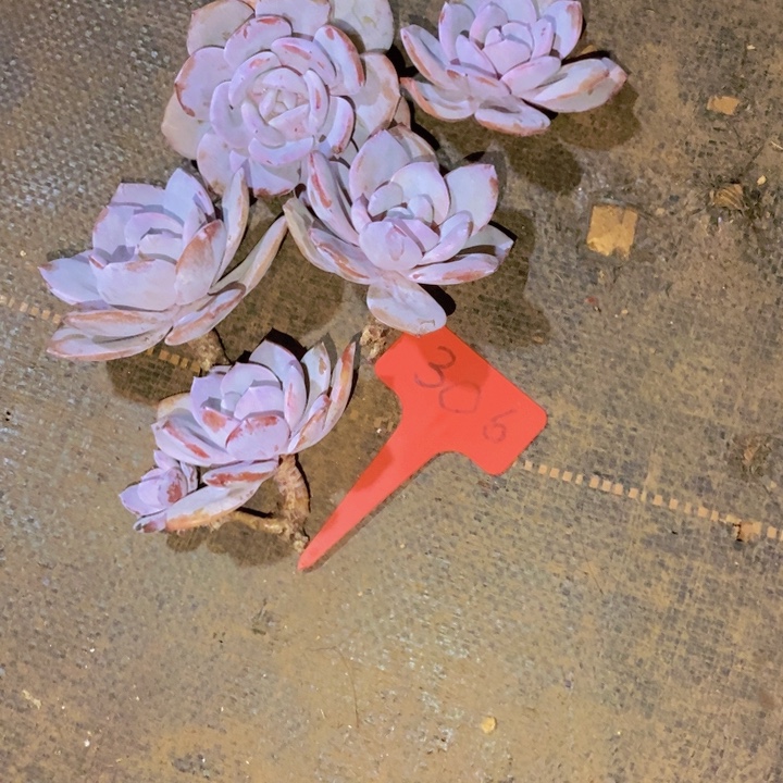 是吗这不比以前还