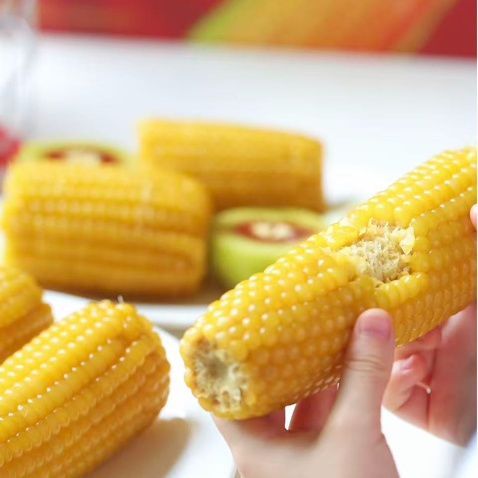 【顺丰包邮】当季限定每日玉米黄糯甜玉米饱腹轻食礼盒10支*箱