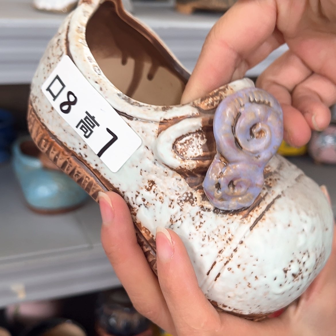 【闪购商品】红陶福利