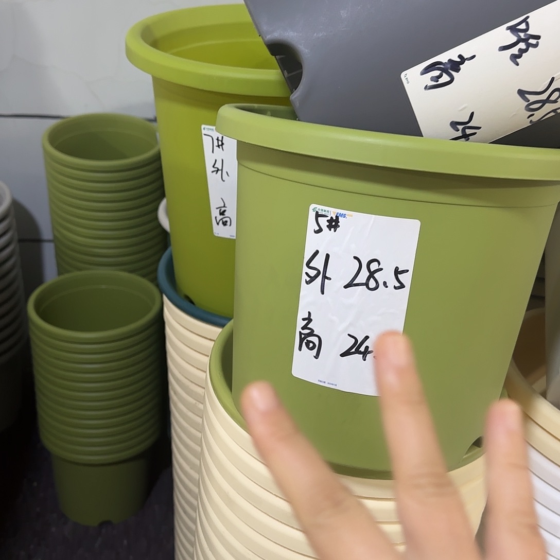 树脂四季5号无托3个果绿