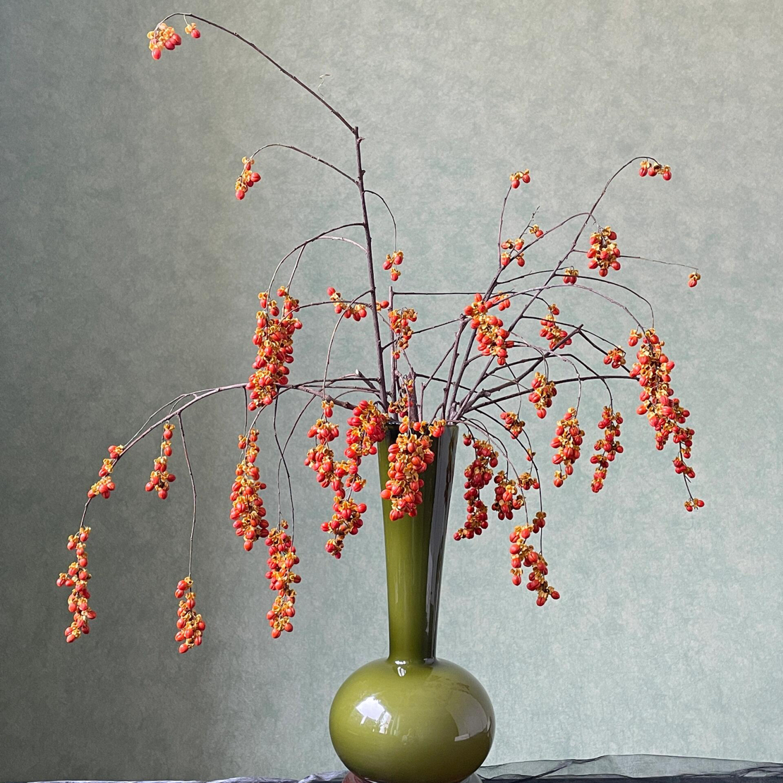 南蛇藤鲜切网红小众花材室内装饰干花斗南直发