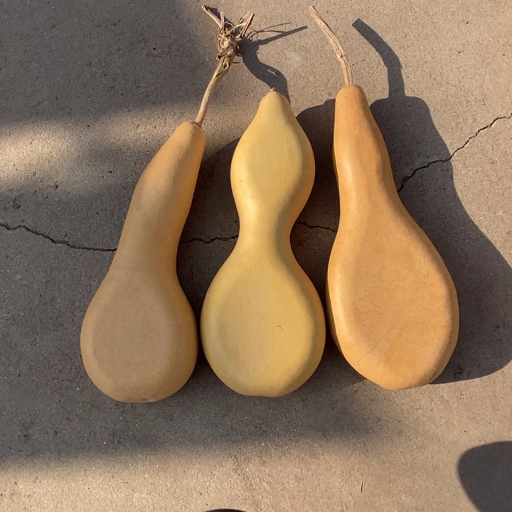 葫芦三个瑕疵夹扁葫芦